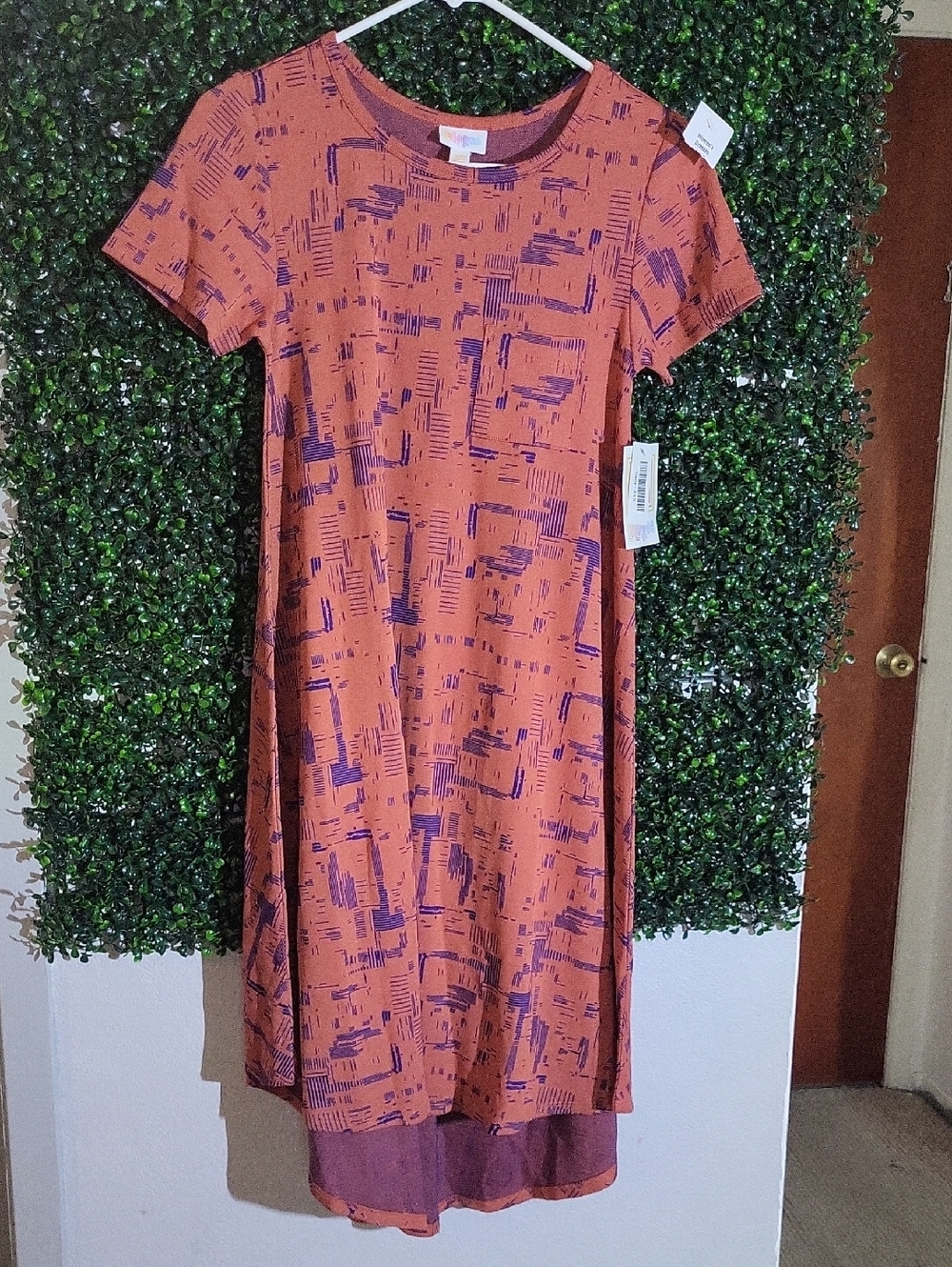 Women's Burnt Orange & Purple Short-Sleeve Shift Dress